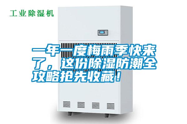 一年一度梅雨季快來了，這份除濕防潮全攻略搶先收藏！