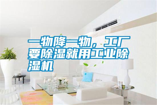 一物降一物，工廠要除濕就用工業(yè)除濕機(jī)