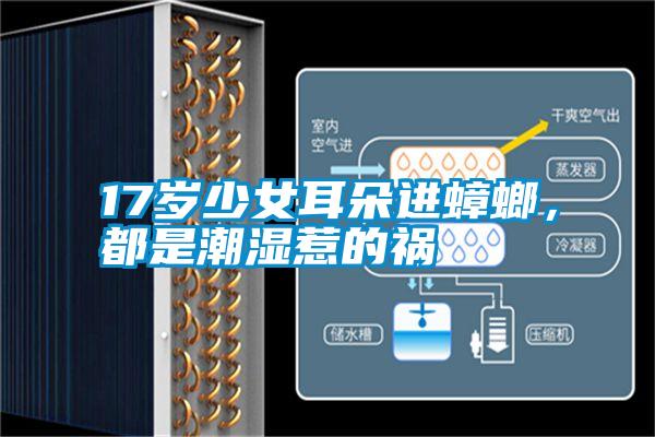 17歲少女耳朵進(jìn)蟑螂，都是潮濕惹的禍