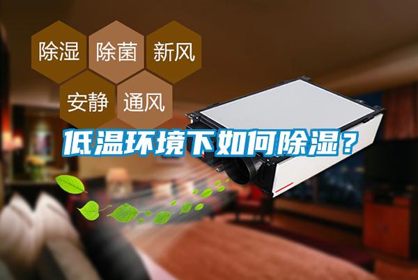 低溫環(huán)境下如何除濕？