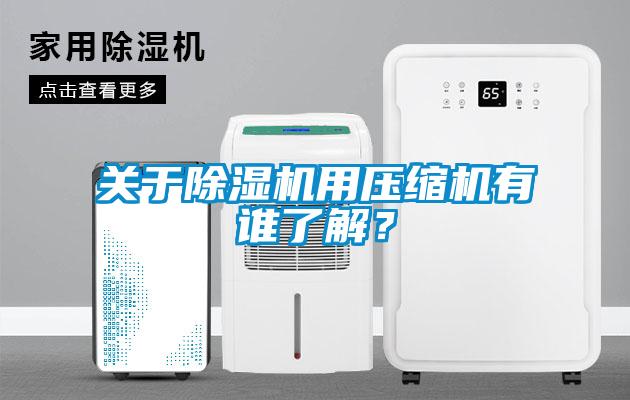 關(guān)于除濕機用壓縮機有誰了解?