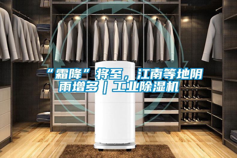 “霜降”將至，江南等地陰雨增多｜工業除濕機