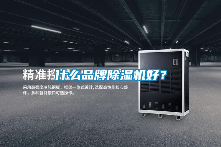 什么品牌除濕機(jī)好？