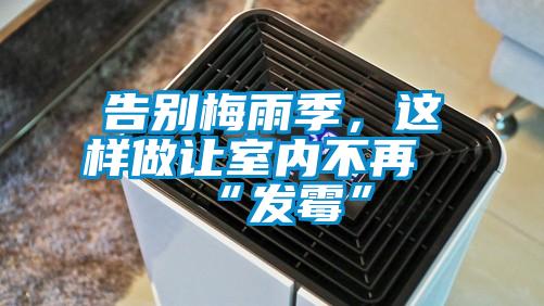 告別梅雨季，這樣做讓室內不再“發霉”