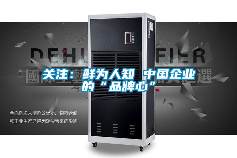 關注:鮮為人知 中國企業的“品牌心”