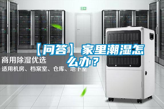 【問答】家里潮濕怎么辦？