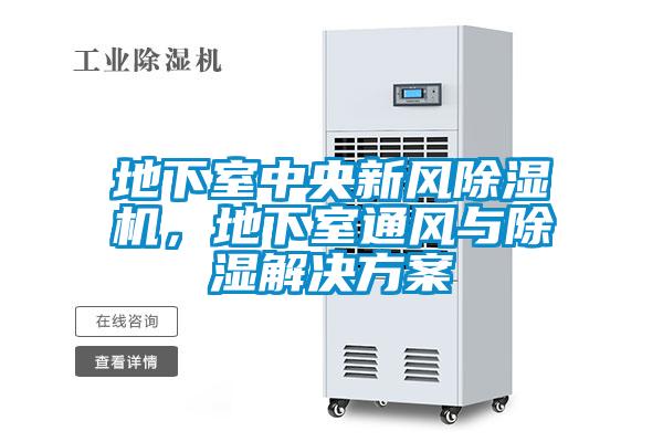 地下室中央新風除濕機，地下室通風與除濕解決方案