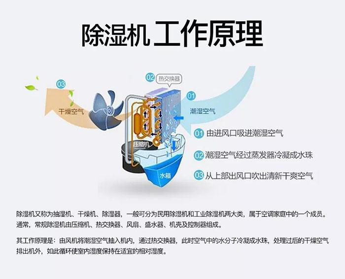 南北之爭：南方的濕冷比北方的干冷更變態(tài)？