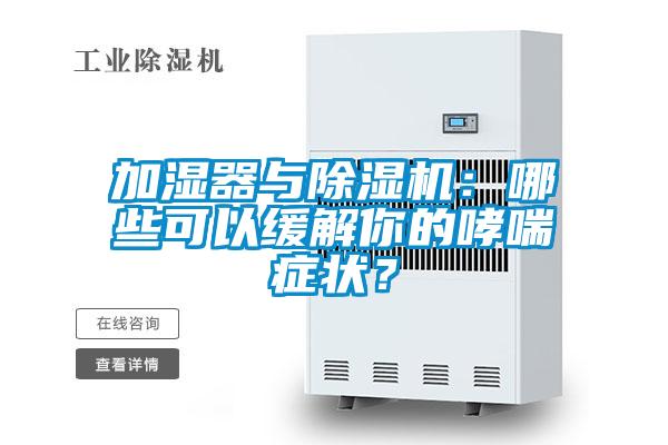 加濕器與除濕機：哪些可以緩解你的哮喘癥狀？