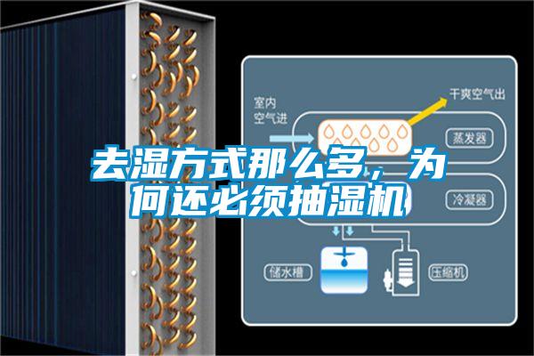 去濕方式那么多,為何還必須抽濕機