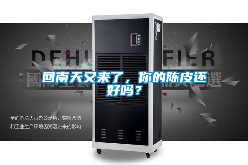 回南天又來了，你的陳皮還好嗎？