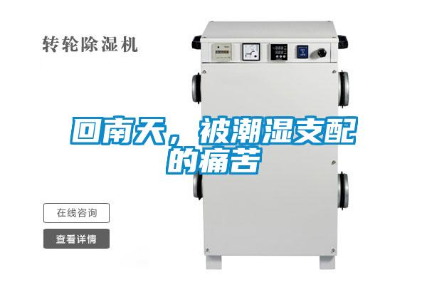 回南天，被潮濕支配的痛苦