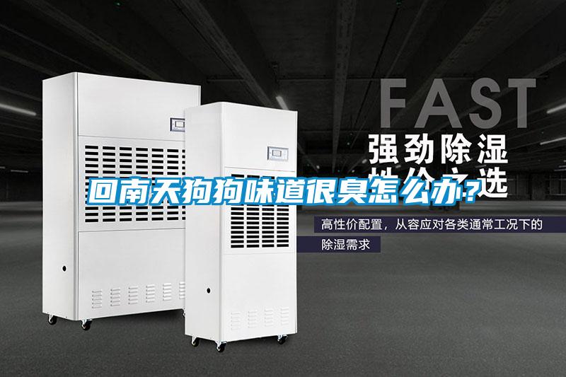 回南天狗狗味道很臭怎么辦？