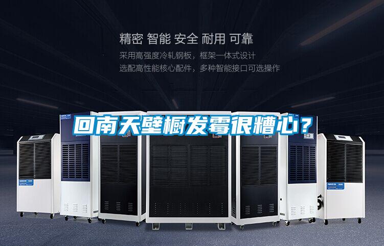 回南天壁櫥發(fā)霉很糟心？