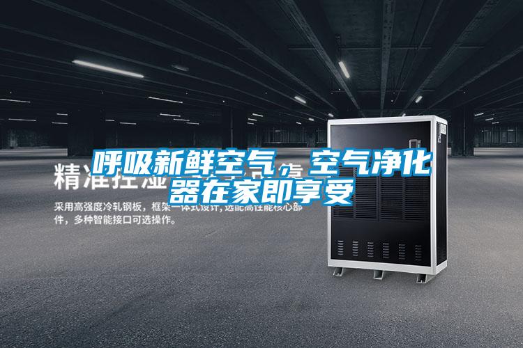 呼吸新鮮空氣,空氣凈化器在家即享受