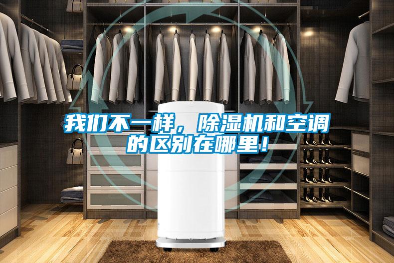 我們不一樣,除濕機和空調的區別在哪里!