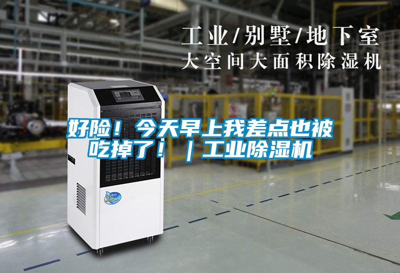 好險！今天早上我差點也被吃掉了！｜工業除濕機