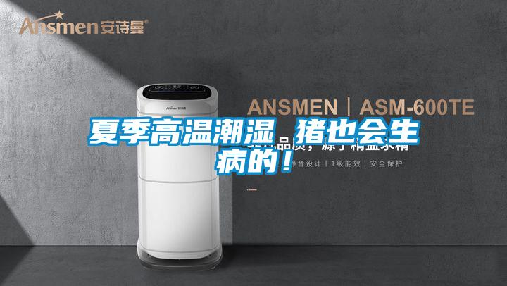 夏季高溫潮濕 豬也會生病的!