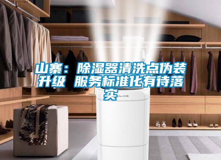 山寨：除濕器清洗點偽裝升級 服務(wù)標準化有待落實