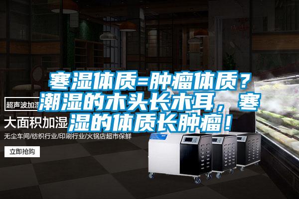 寒濕體質=腫瘤體質？潮濕的木頭長木耳，寒濕的體質長腫瘤！