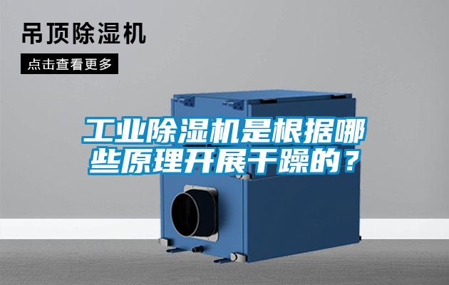 工業除濕機是根據哪些原理開展干躁的?