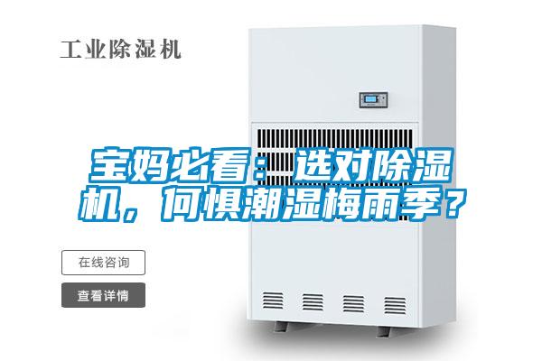 寶媽必看：選對除濕機(jī)，何懼潮濕梅雨季？