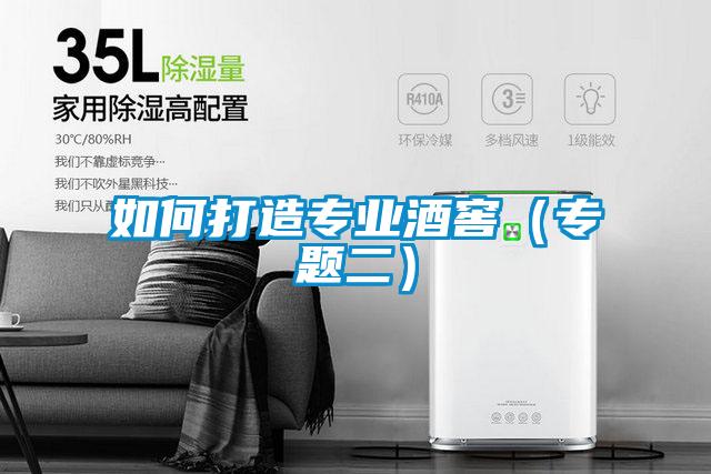 如何打造專業(yè)酒窖(專題二)