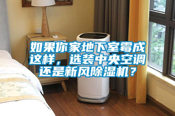如果你家地下室霉成這樣,選裝中央空調還是新風除濕機?