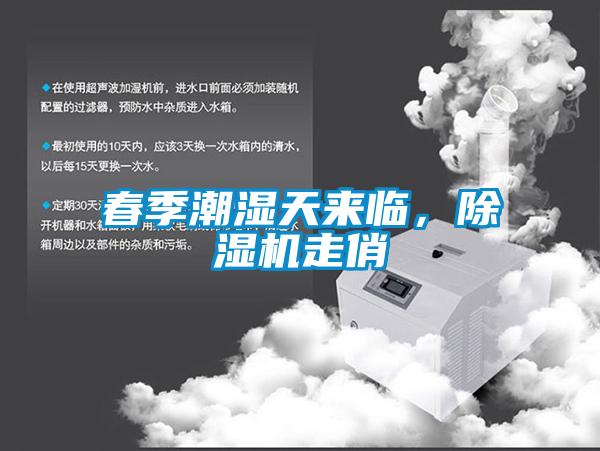 春季潮濕天來臨，除濕機走俏