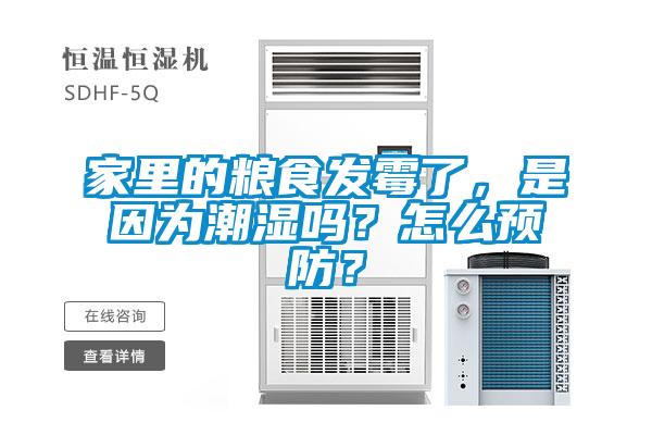 家里的糧食發霉了，是因為潮濕嗎？怎么預防？