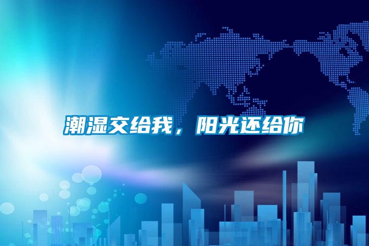 潮濕交給我，陽光還給你