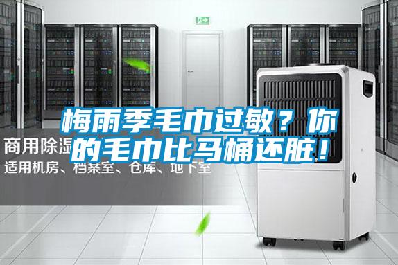 梅雨季毛巾過敏?你的毛巾比馬桶還臟!