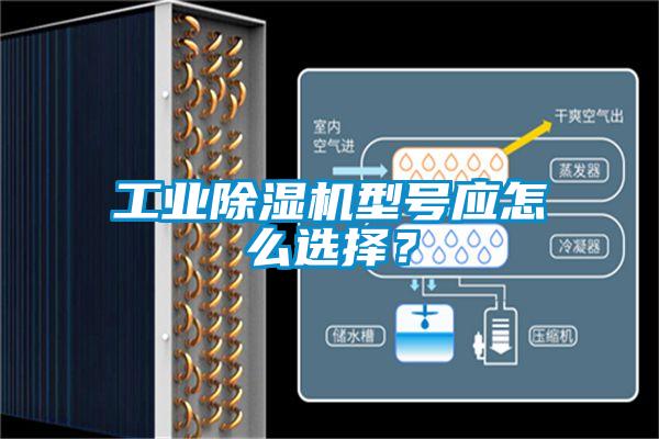 工業除濕機型號應怎么選擇？