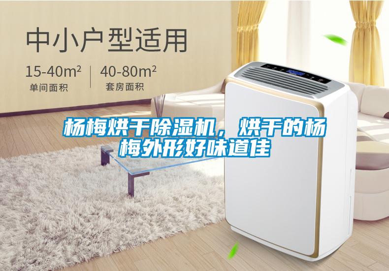 楊梅烘干除濕機,烘干的楊梅外形好味道佳