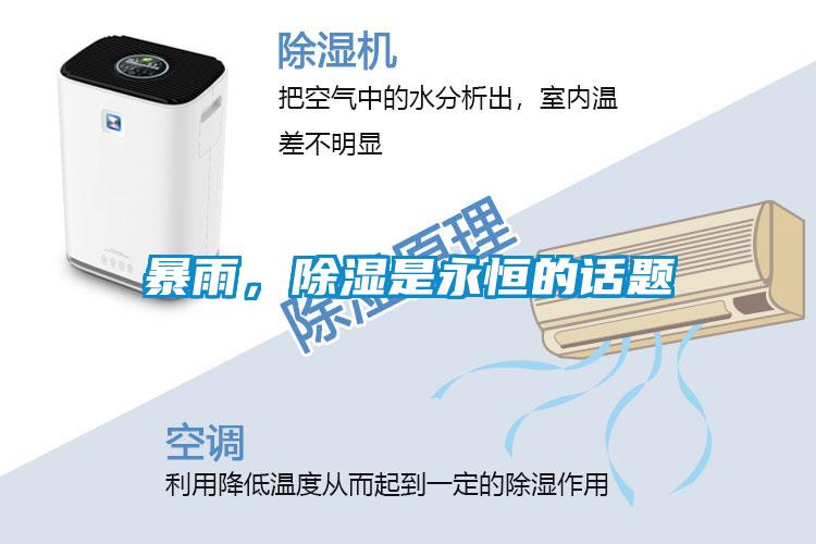 暴雨，除濕是永恒的話題
