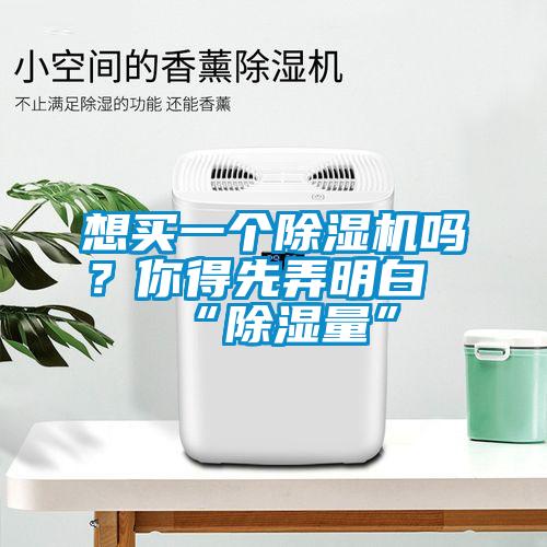想買(mǎi)一個(gè)除濕機(jī)嗎?你得先弄明白“除濕量”
