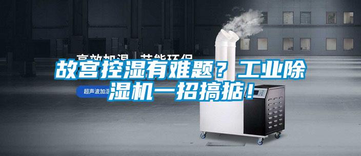 故宮控濕有難題？工業(yè)除濕機(jī)一招搞掂！