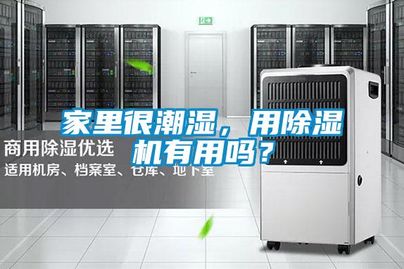 家里很潮濕,用除濕機有用嗎?