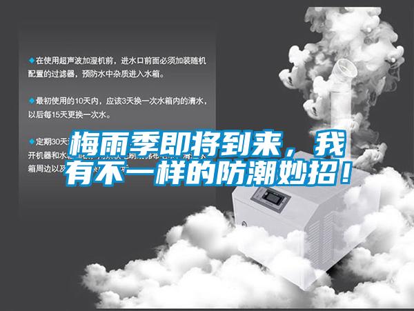 梅雨季即將到來，我有不一樣的防潮妙招！