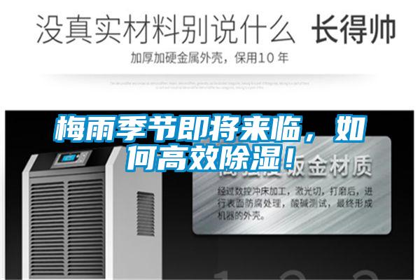 梅雨季節即將來臨,如何高效除濕!