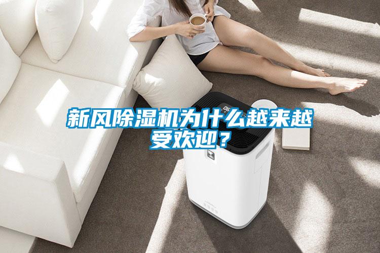 新風除濕機為什么越來越受歡迎？