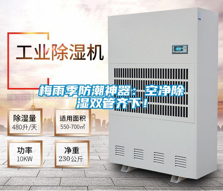 梅雨季防潮神器：空凈除濕雙管齊下！