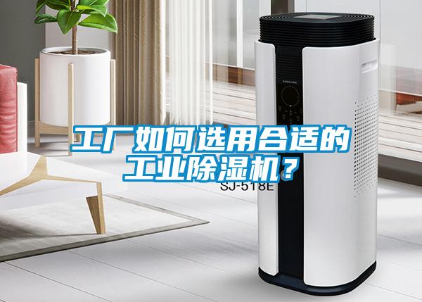 工廠如何選用合適的工業(yè)除濕機(jī)？