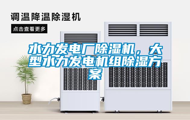水力發(fā)電廠除濕機，大型水力發(fā)電機組除濕方案