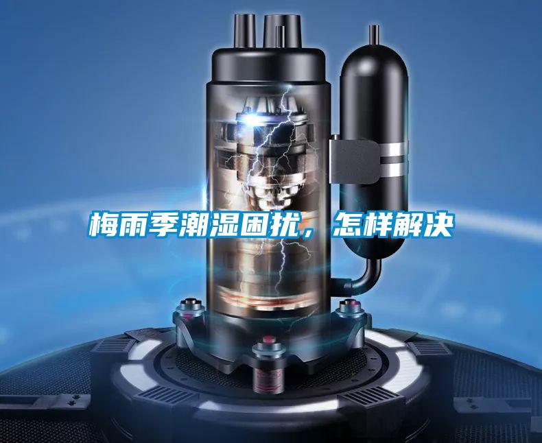 梅雨季潮濕困擾,怎樣解決
