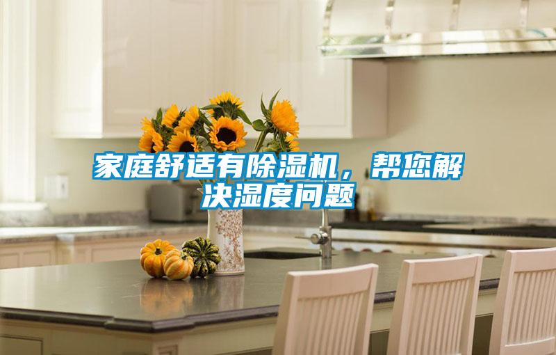 家庭舒適有除濕機(jī),幫您解決濕度問(wèn)題