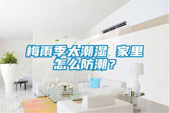 梅雨季太潮濕 家里怎么防潮？