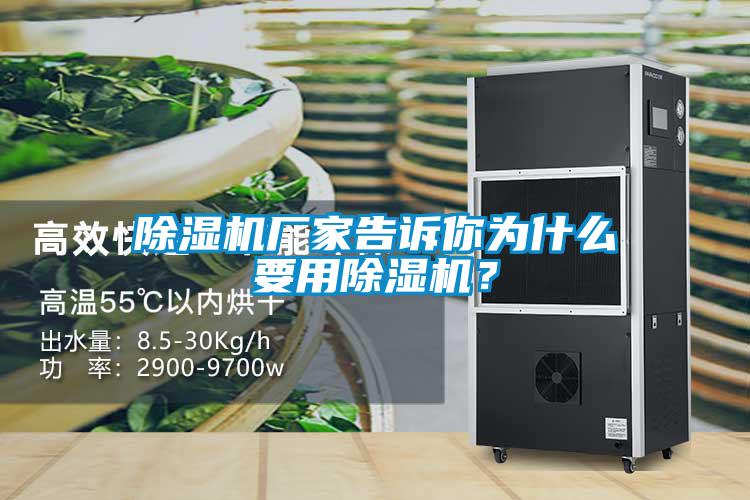 除濕機廠家告訴你為什么要用除濕機？