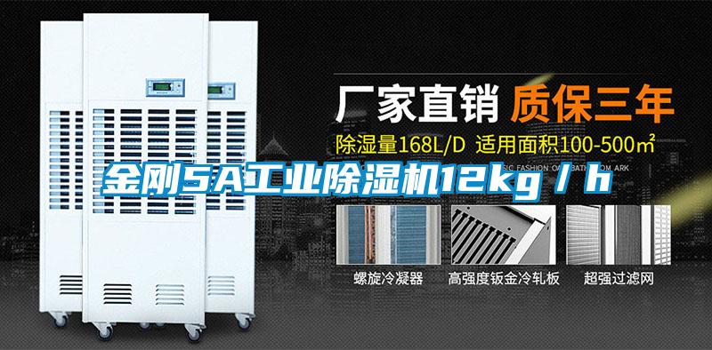 金剛5A工業除濕機12kg/h