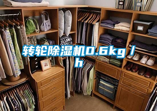 轉輪除濕機0.6kg/h